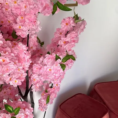 Signature - Flower Flair Apartment Winterberg